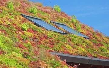 Blairmore living roof systems